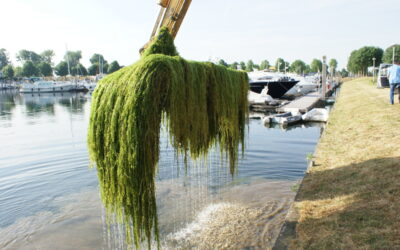 Waterplanten Congres Zuidelijk IJsselmeergebied 2023